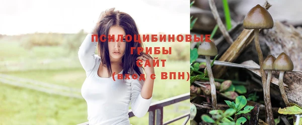 дурь Волоколамск