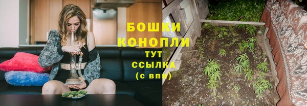 ГАЛЛЮЦИНОГЕННЫЕ ГРИБЫ Володарск